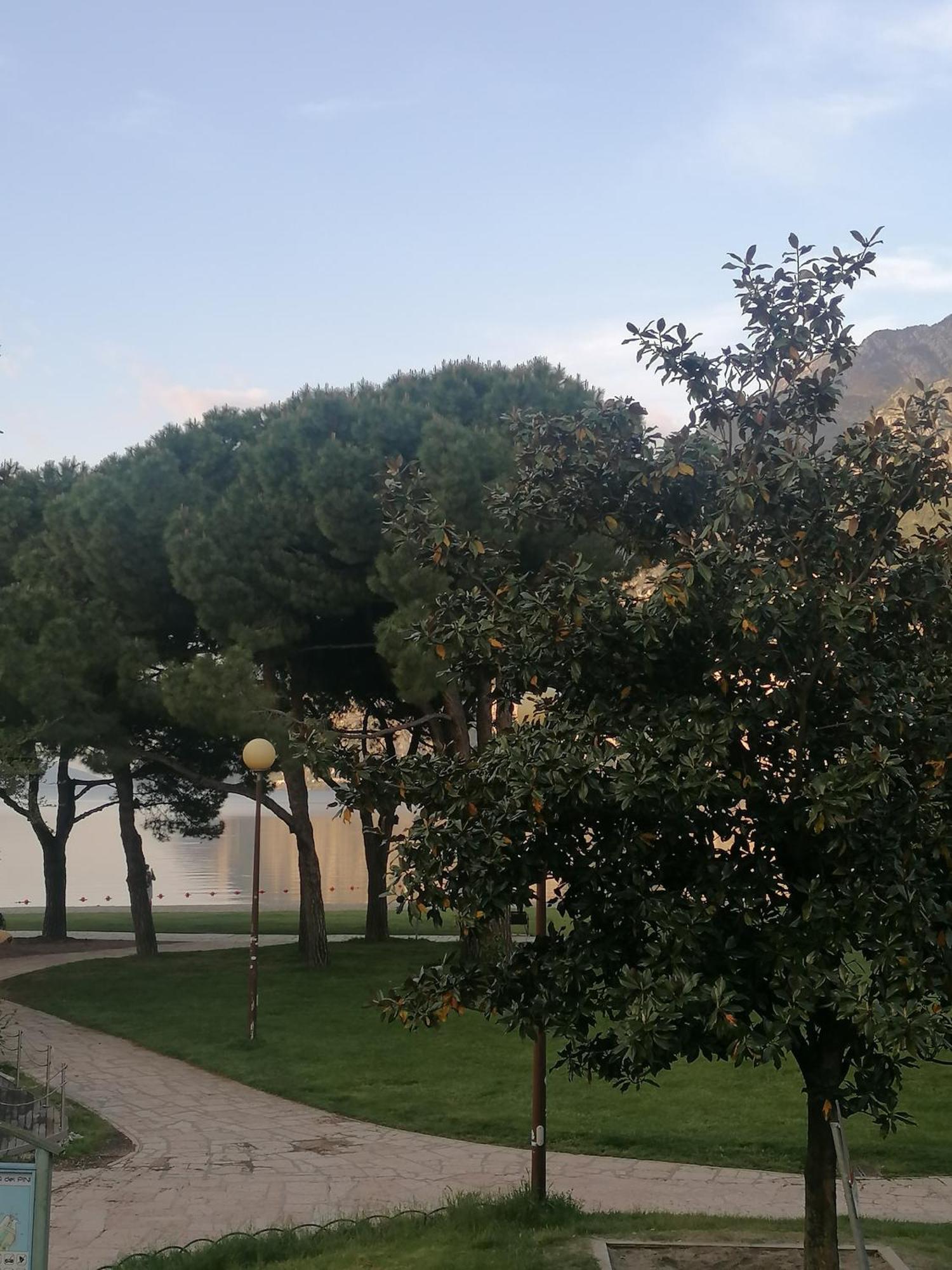 Appartement Lago Blu ريفا ديل غاردا المظهر الخارجي الصورة